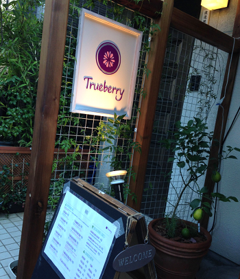 day2_trueberry_1.png