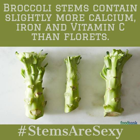 stem.jpg